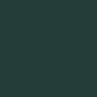 SmoothSteelColors-Forest Green