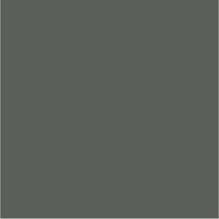 SmoothSteelColors-Platinum Gray